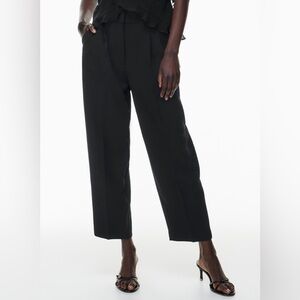 Aritzia Carrot Pants